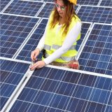 low cost solar providers in new york