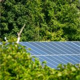 solar contractors in florida